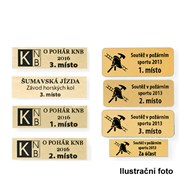 Štítek samolepící laser - lesklý papír, 50x14 - M